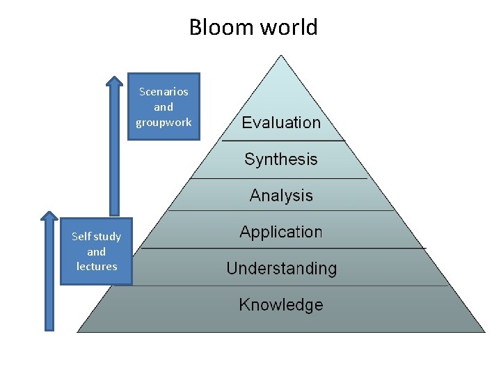 Bloom world Scenarios and groupwork Self study and lectures 