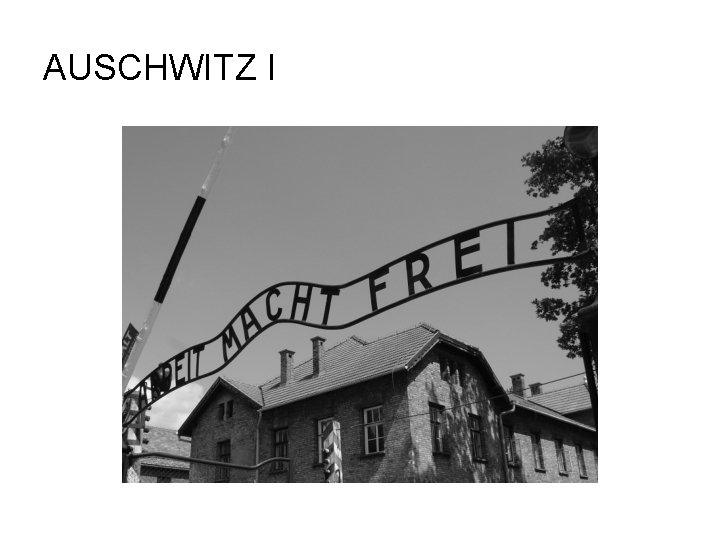 AUSCHWITZ I 