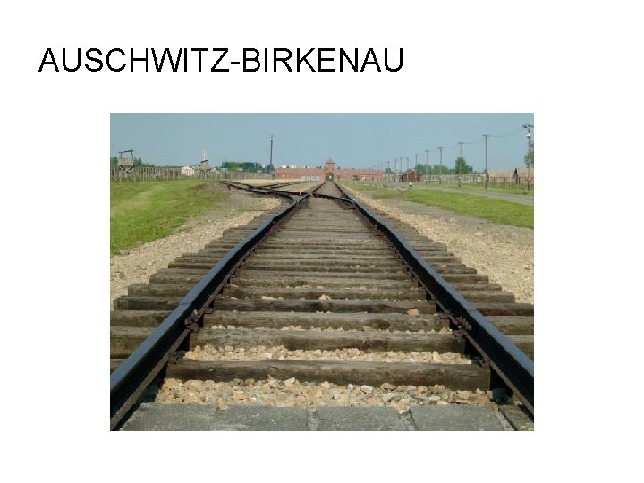 AUSCHWITZ-BIRKENAU 