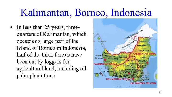 Kalimantan, Borneo, Indonesia • In less than 25 years, threequarters of Kalimantan, which occupies