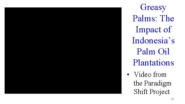 Greasy Palms: The Impact of Indonesia’s Palm Oil Plantations • Video from the Paradigm