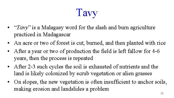 Tavy • “Tavy” is a Malagasy word for the slash and burn agriculture practiced