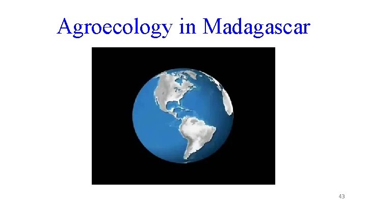 Agroecology in Madagascar 43 