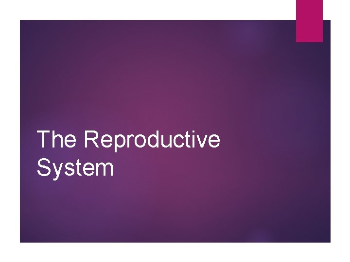 The Reproductive System 