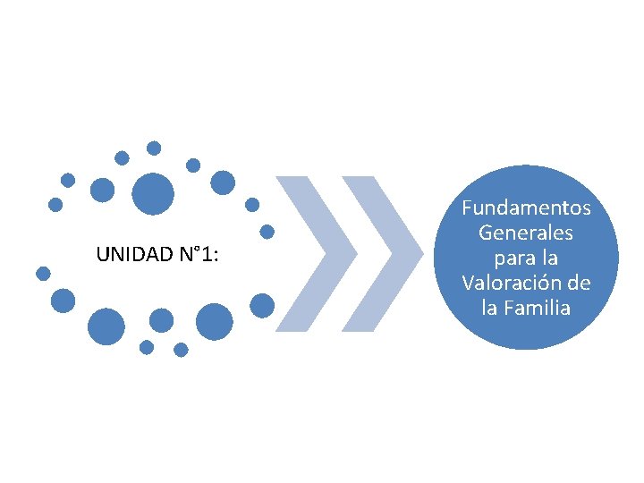 UNIDAD N° 1: Fundamentos Generales para la Valoración de la Familia 