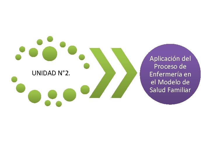 UNIDAD N° 2. Aplicación del Proceso de Enfermería en el Modelo de Salud Familiar