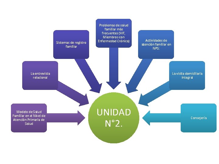 Sistemas de registro familiar Problemas de salud familiar más frecuentes (VIF, Miembros con Enfermedad