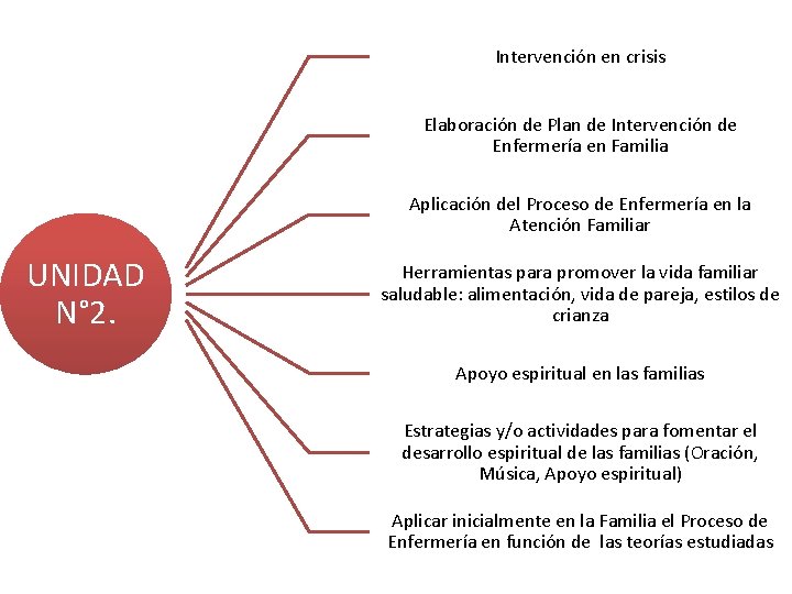 Intervención en crisis Elaboración de Plan de Intervención de Enfermería en Familia Aplicación del