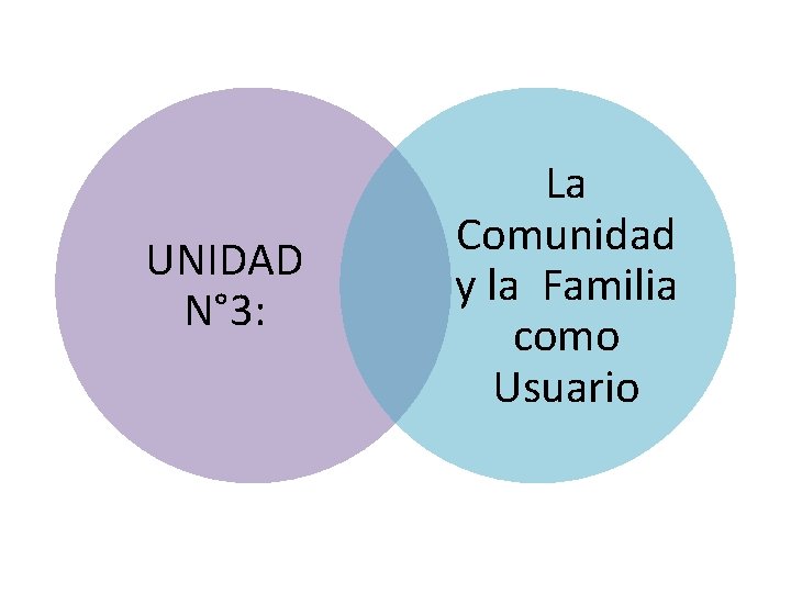 UNIDAD N° 3: La Comunidad y la Familia como Usuario 