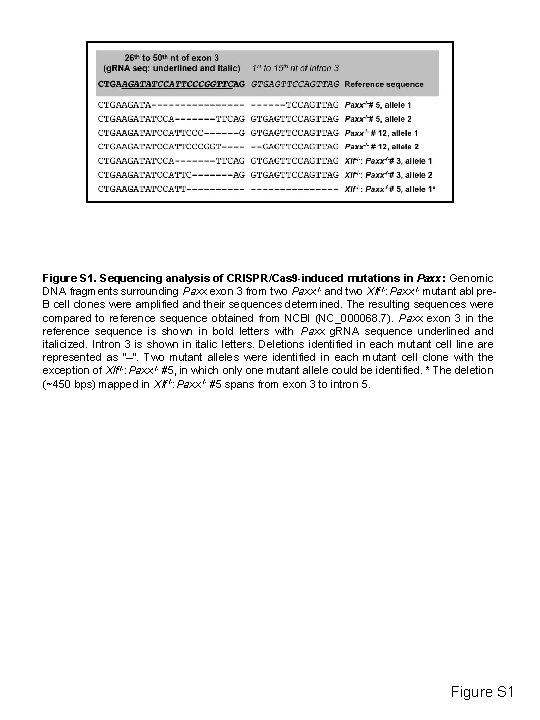 Figure S 1. Sequencing analysis of CRISPR/Cas 9 -induced mutations in Paxx: Genomic DNA