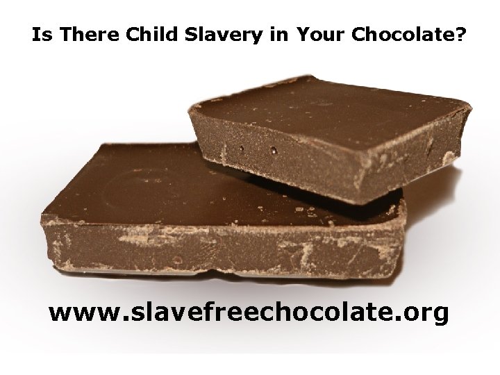Is There Child Slavery in Your Chocolate? www. slavefreechocolate. org 