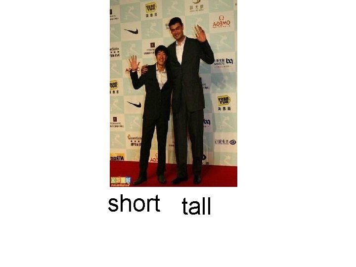 short tall 