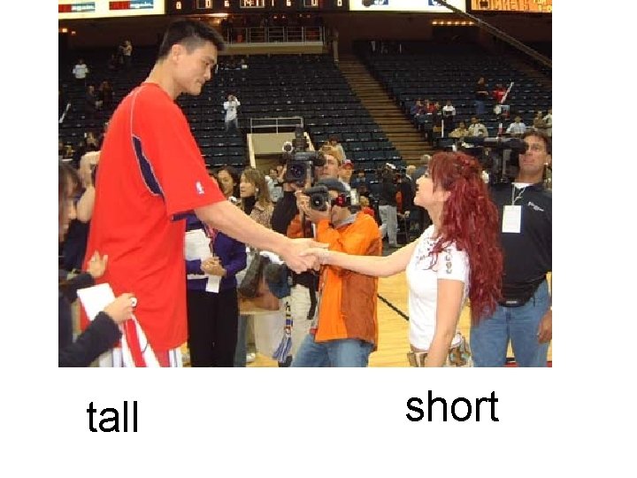 tall short 