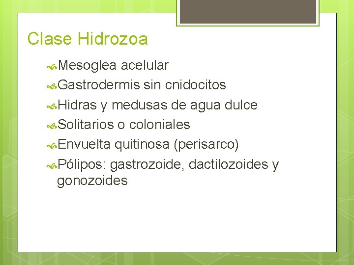 Clase Hidrozoa Mesoglea acelular Gastrodermis sin cnidocitos Hidras y medusas de agua dulce Solitarios