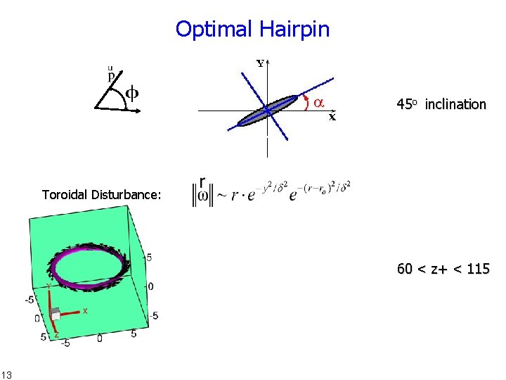 Optimal Hairpin 45 o inclination Toroidal Disturbance: 60 < z+ < 115 13 