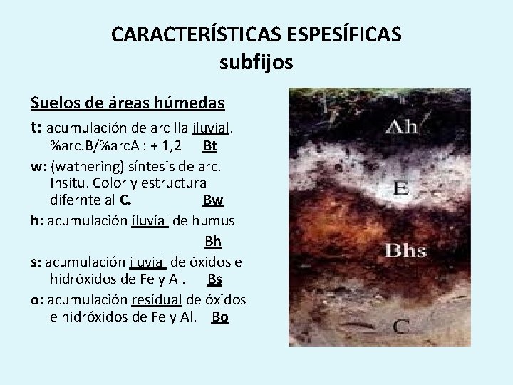 CARACTERÍSTICAS ESPESÍFICAS subfijos Suelos de áreas húmedas t: acumulación de arcilla iluvial. %arc. B/%arc.