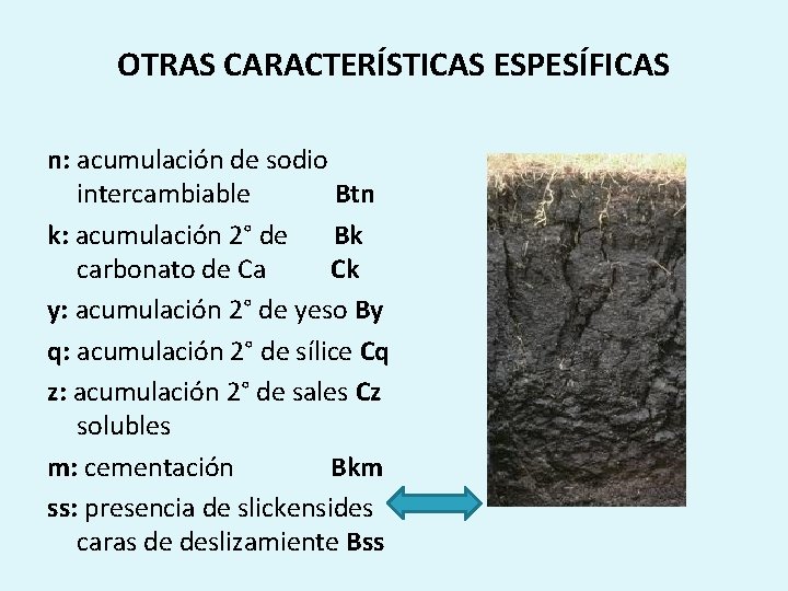 OTRAS CARACTERÍSTICAS ESPESÍFICAS n: acumulación de sodio intercambiable Btn k: acumulación 2° de Bk