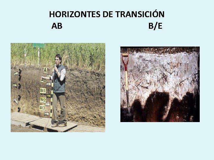 HORIZONTES DE TRANSICIÓN AB B/E 