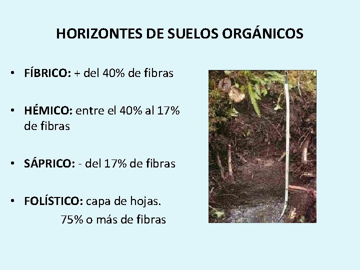 HORIZONTES DE SUELOS ORGÁNICOS • FÍBRICO: + del 40% de fibras • HÉMICO: entre