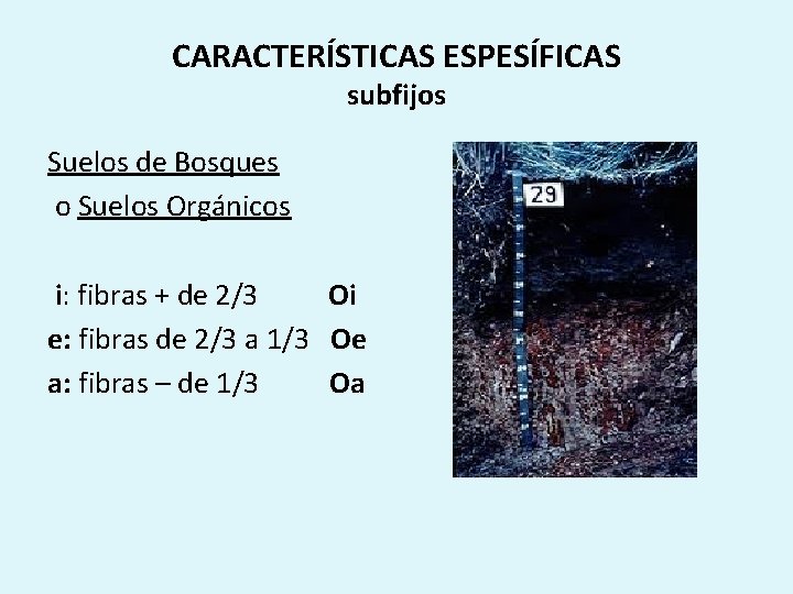 CARACTERÍSTICAS ESPESÍFICAS subfijos Suelos de Bosques o Suelos Orgánicos i: fibras + de 2/3