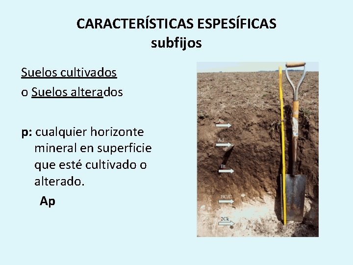 CARACTERÍSTICAS ESPESÍFICAS subfijos Suelos cultivados o Suelos alterados p: cualquier horizonte mineral en superficie
