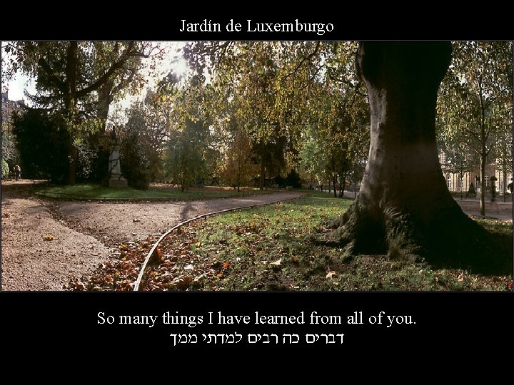 Jardín de Luxemburgo So many things I have learned from all of you. דברים