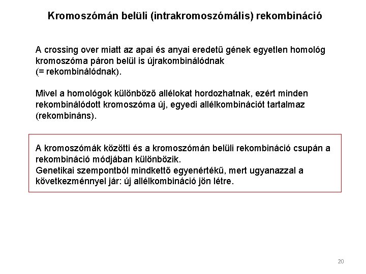 Kromoszómán belüli (intrakromoszómális) rekombináció A crossing over miatt az apai és anyai eredetű gének