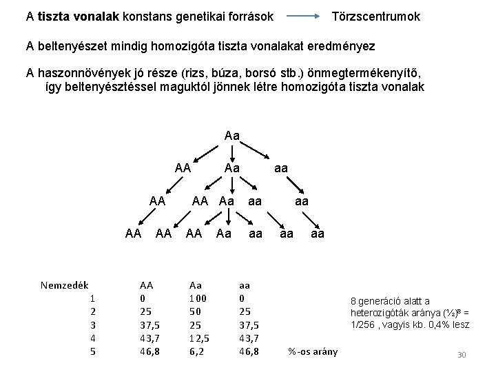 Törzscentrumok A tiszta vonalak konstans genetikai források A beltenyészet mindig homozigóta tiszta vonalakat eredményez