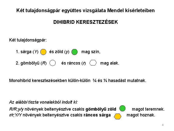 Két tulajdonságpár együttes vizsgálata Mendel kísérleteiben DIHIBRID KERESZTEZÉSEK Két tulajdonságpár: 1. sárga (Y) 2.