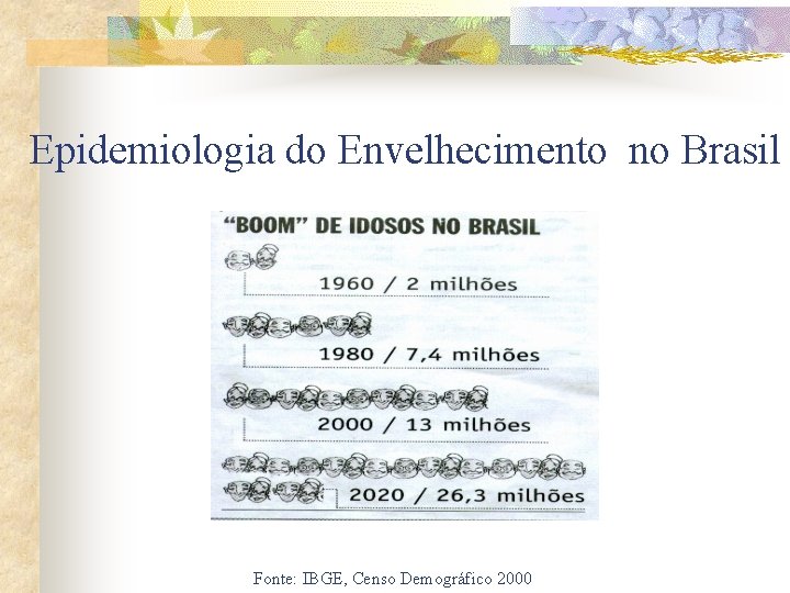 Epidemiologia do Envelhecimento no Brasil Fonte: IBGE, Censo Demográfico 2000 