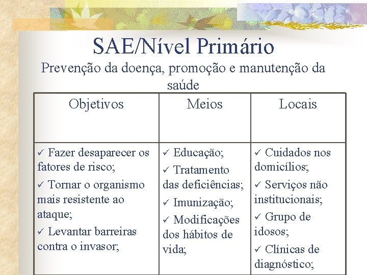 SAE/Nível Primário Prevenção da doença, promoção e manutenção da saúde Objetivos Meios Locais Fazer