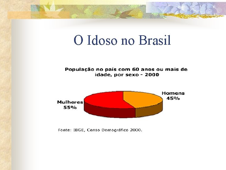 O Idoso no Brasil 