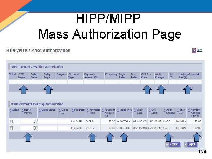 HIPP/MIPP Mass Authorization Page 124 