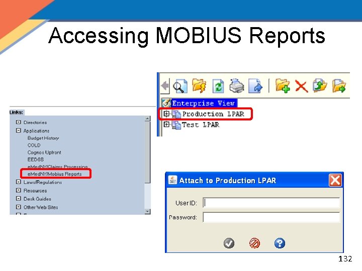 Accessing MOBIUS Reports 132 