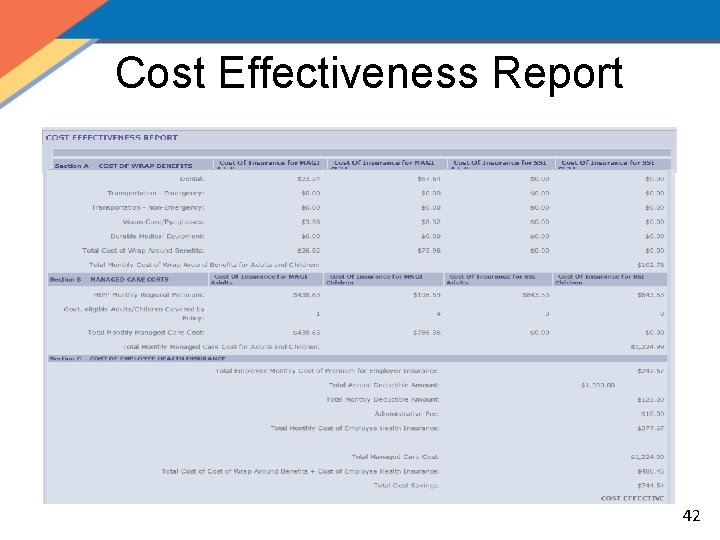 Cost Effectiveness Report 42 