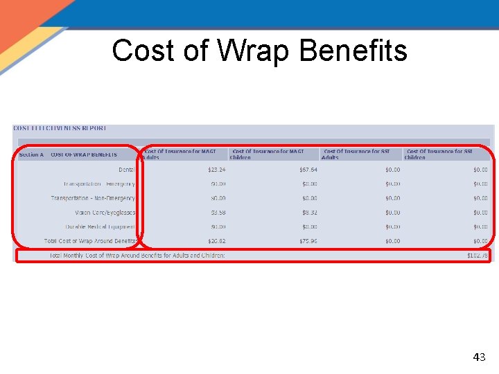 Cost of Wrap Benefits 43 