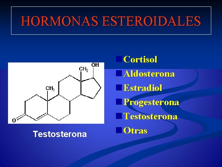 HORMONAS ESTEROIDALES Testosterona n Cortisol n Aldosterona n Estradiol n Progesterona n Testosterona n