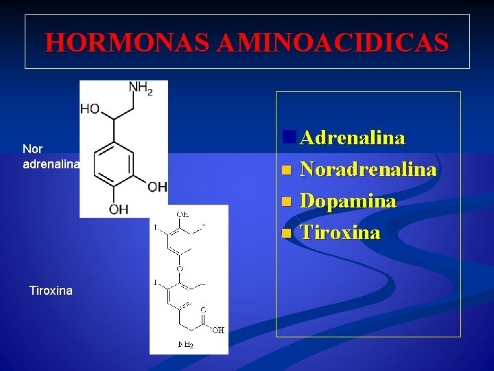 HORMONAS AMINOACIDICAS Nor adrenalina Tiroxina n Adrenalina n Noradrenalina n Dopamina n Tiroxina 