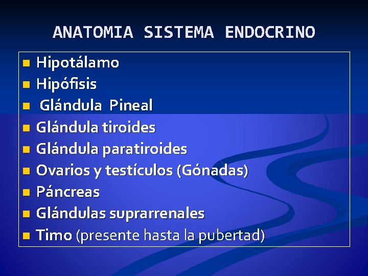 ANATOMIA SISTEMA ENDOCRINO Hipotálamo n Hipófisis n Glándula Pineal n Glándula tiroides n Glándula