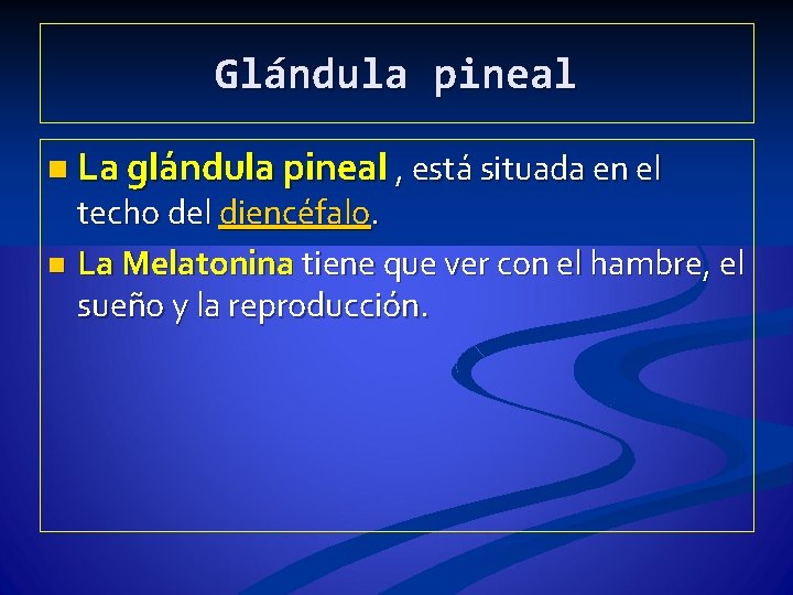 Glándula pineal n La glándula pineal , está situada en el techo del diencéfalo.