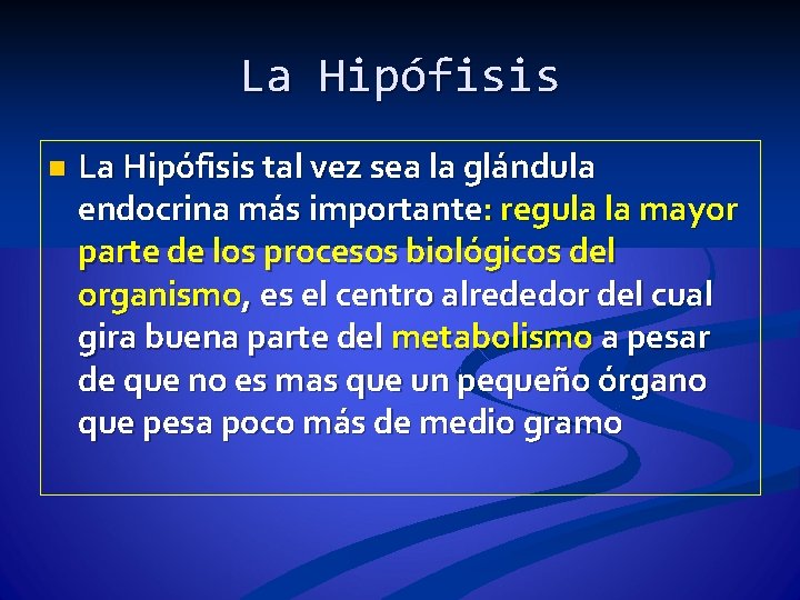 La Hipófisis n La Hipófisis tal vez sea la glándula endocrina más importante: regula