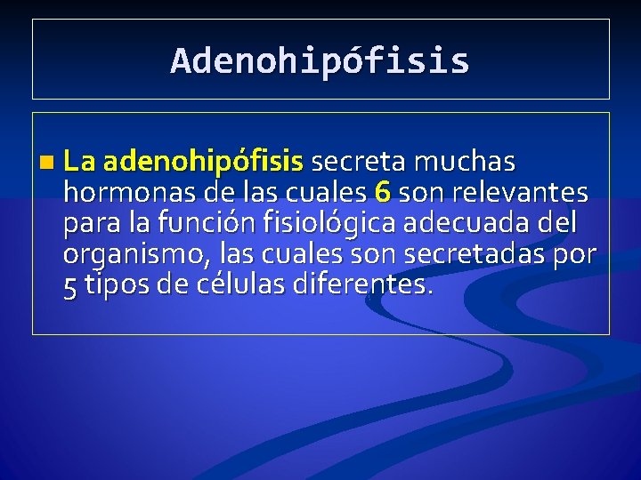 Adenohipófisis n La adenohipófisis secreta muchas hormonas de las cuales 6 son relevantes para