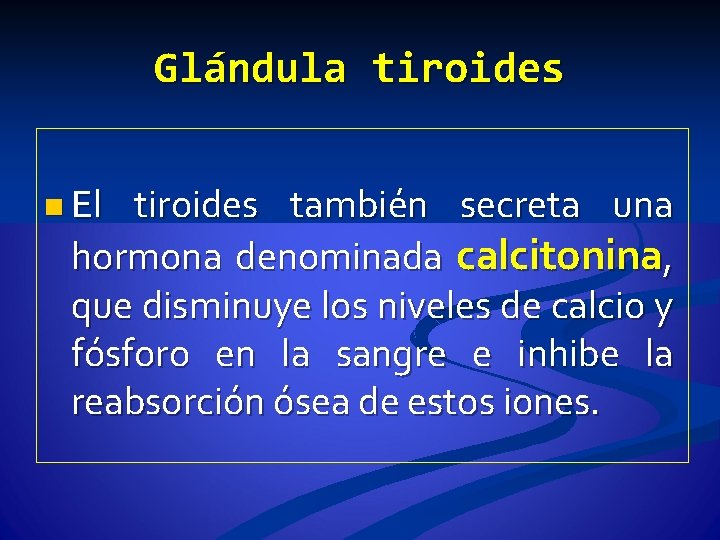 Glándula tiroides n El tiroides también secreta una hormona denominada calcitonina, que disminuye los