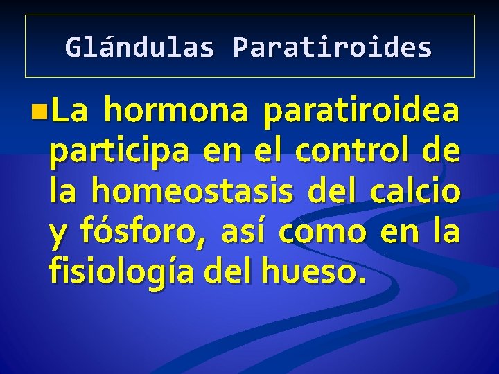 Glándulas Paratiroides n. La hormona paratiroidea participa en el control de la homeostasis del