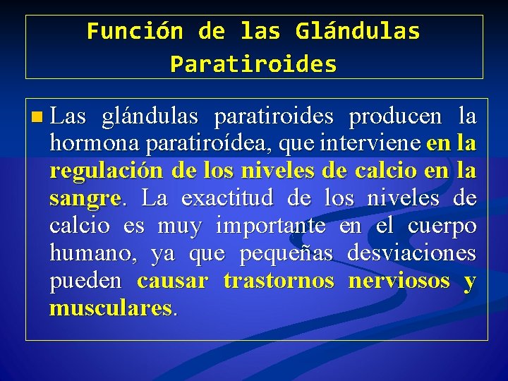 Función de las Glándulas Paratiroides n Las glándulas paratiroides producen la hormona paratiroídea, que