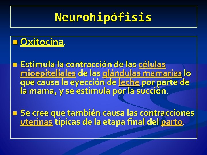 Neurohipófisis n Oxitocina. n Estimula la contracción de las células mioepiteliales de las glándulas