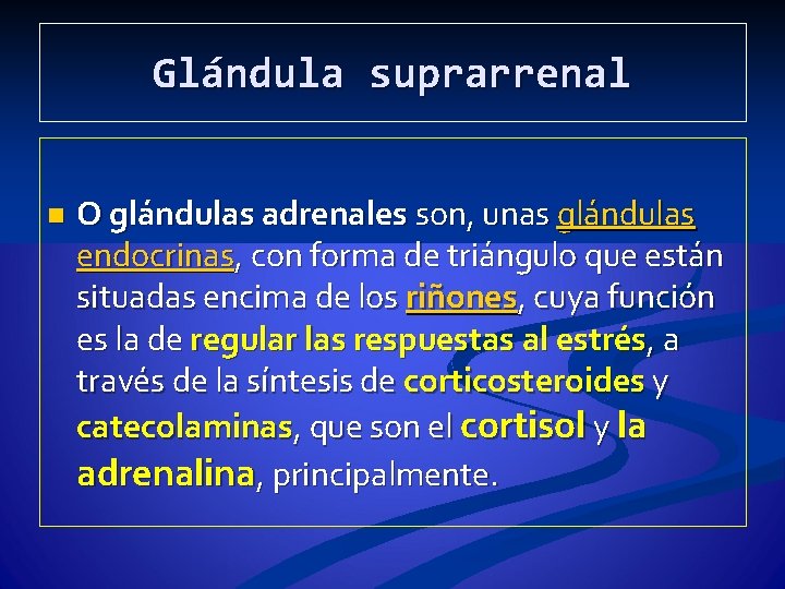 Glándula suprarrenal n O glándulas adrenales son, unas glándulas endocrinas, con forma de triángulo