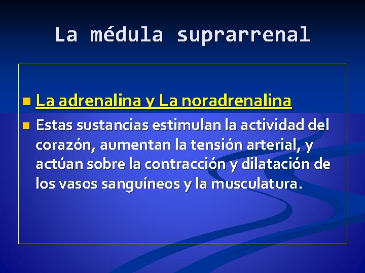 La médula suprarrenal n La adrenalina y La noradrenalina n Estas sustancias estimulan la