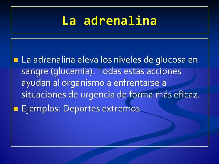 La adrenalina eleva los niveles de glucosa en sangre (glucemia). Todas estas acciones ayudan