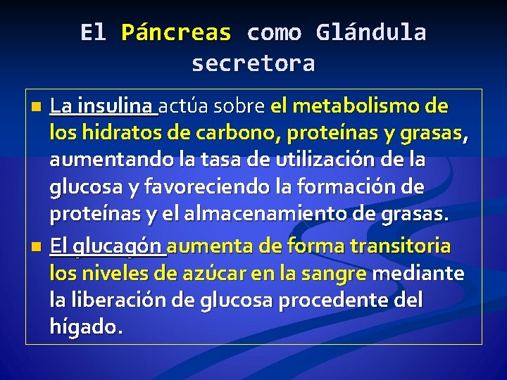 El Páncreas como Glándula secretora La insulina actúa sobre el metabolismo de los hidratos